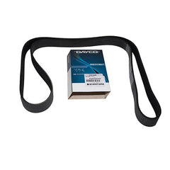 BELT - DAYCO - PQS000030G