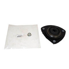 MOUNTING - DAMPER - BWI - RNX100101G